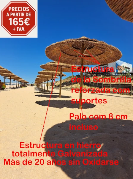 Datos Técnicos de la sombrilla de junco africano